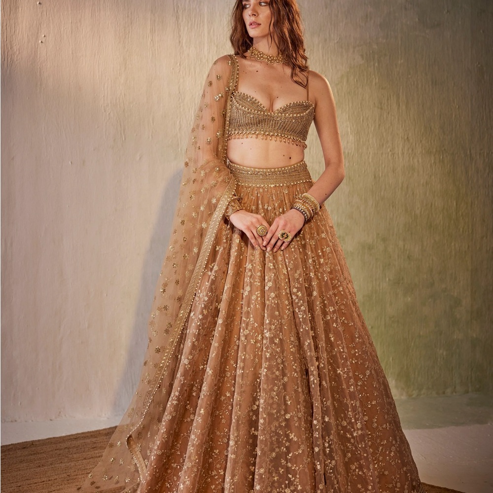 Elegant Gold Embroidered Lehenga Set